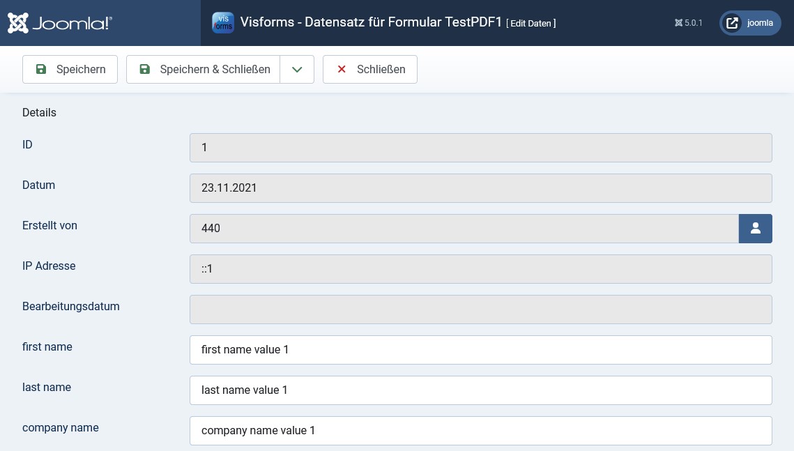 Schritt 3: Die Daten-Editier-Ansicht im Backend