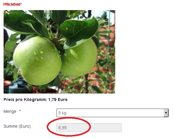 Field calculation in the form