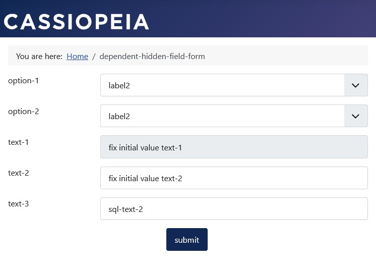 The text not displayed in the form is shown here for illustrative purposes.