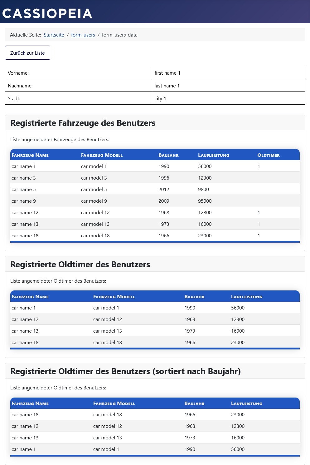 Daten-Detail-Ansicht