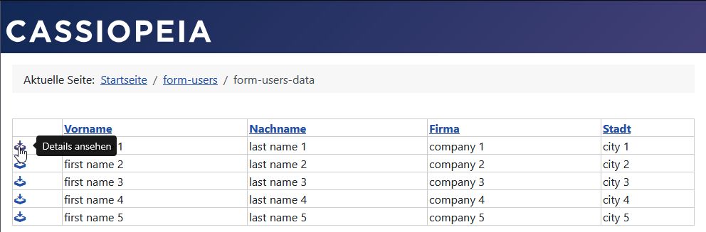 Die Detail-Ansicht wird auf der linken Seite der Daten-Liste durch einen Klick auf das konfigurierbare Detail-Ansicht-Icon geöffnet
