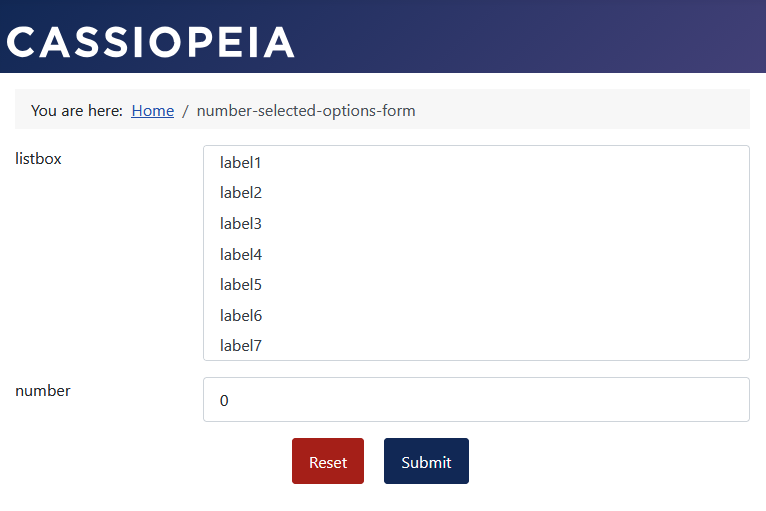 Das Formular: Keine Option ausgewählt