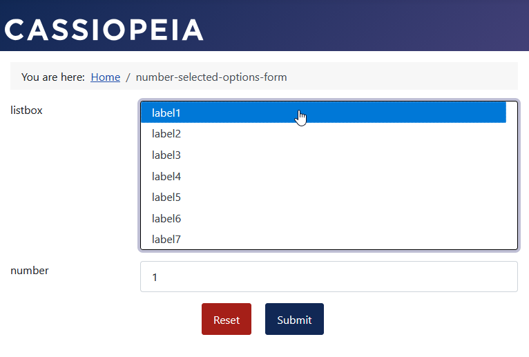 Das Formular: 1 Option ausgewählt