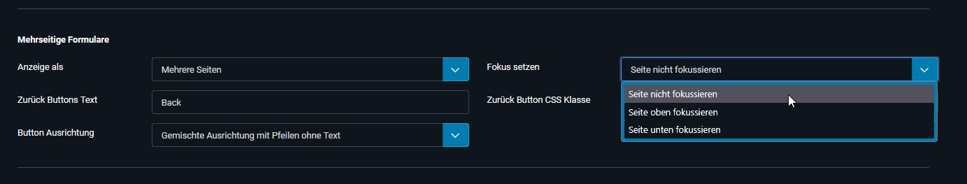 Fokussierung des Formulars nach dem Umschalten auf eine neue Seite