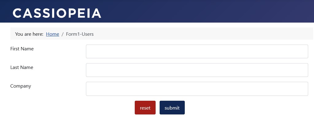 With this form, pure user data is initially collected