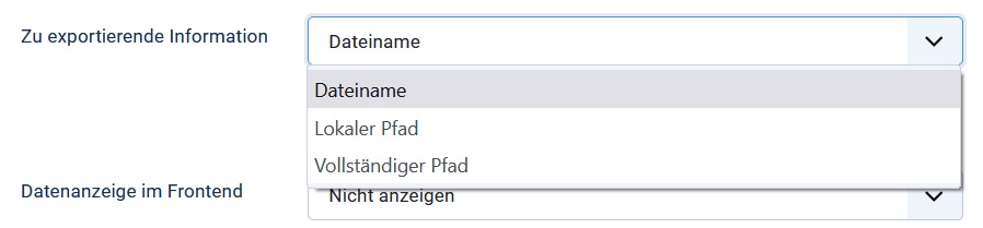 Additional export option