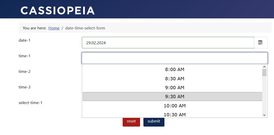Time field with time format 'AM/PM'
