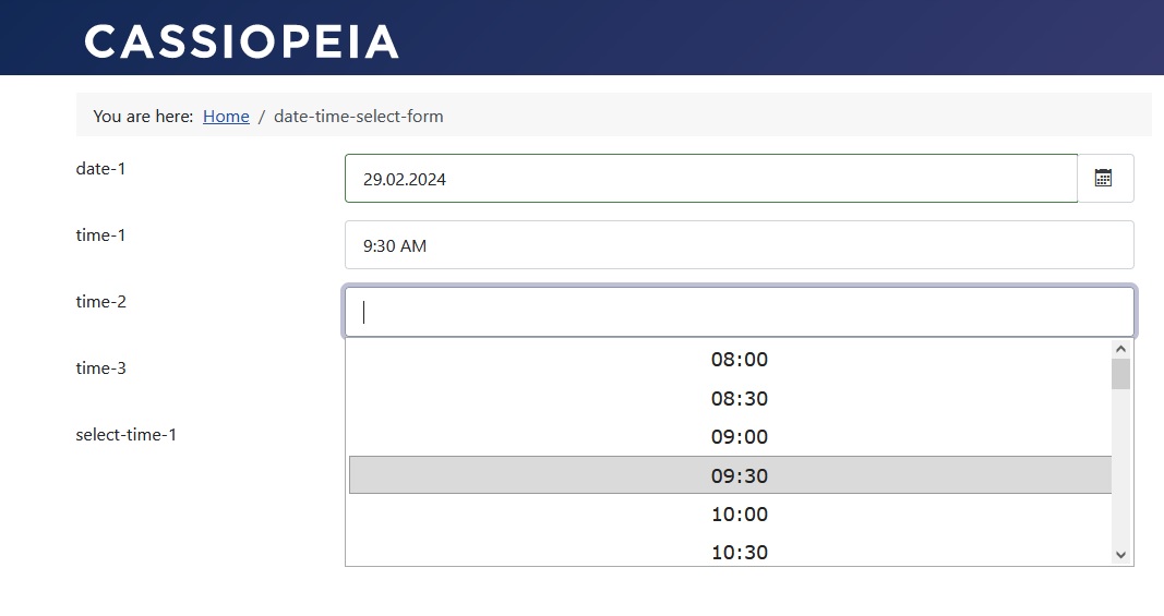 Time field with time format '24 hours'