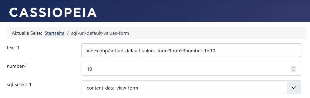 The form during the initial display