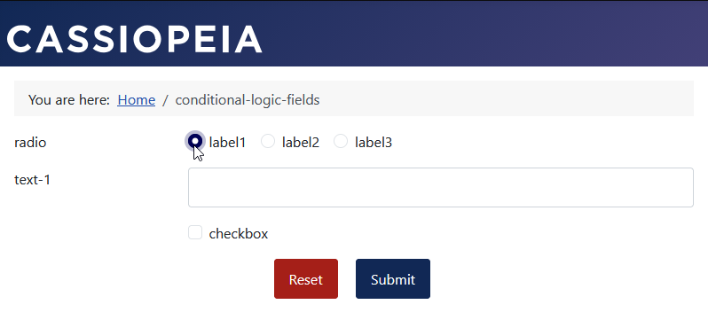 Formular mit erster Auswahl