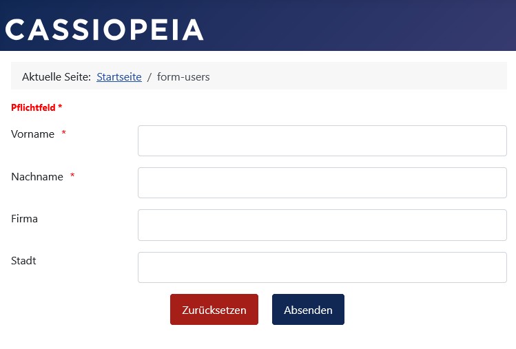Pflichtfeld-Anzeige konfigurieren: Voreinstellung im Formular