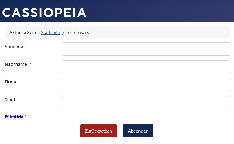 Beispiel-Formular in der Farbe Blau und dem 'Pflichtfeld *' Text ganz unten im Formular