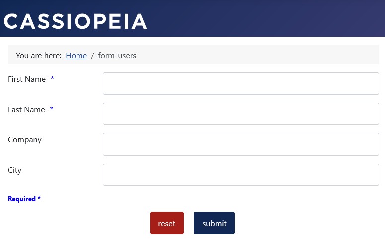 Example form in blue with the 'Required *' text at the very bottom of the form
