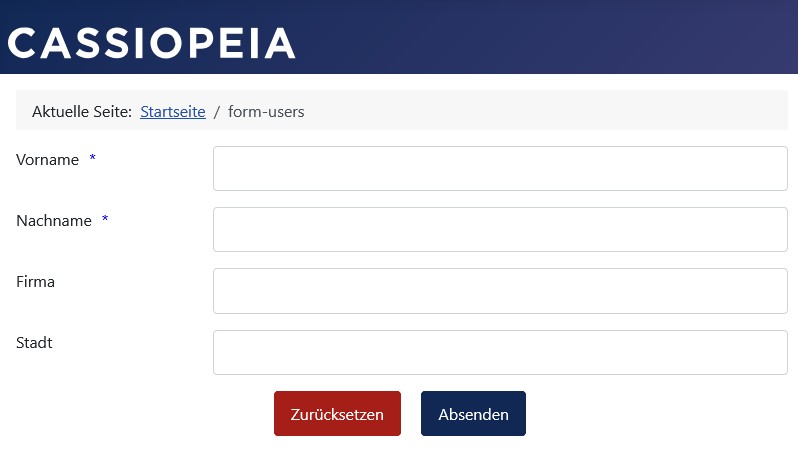 Beispiel-Formular in der Farbe Blau und keinem 'Pflichtfeld *' Text im Formular