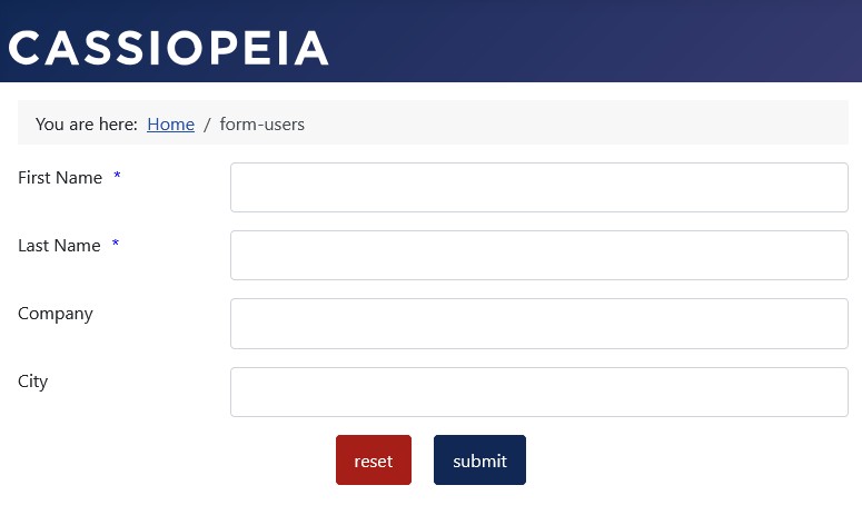Example form in blue with no 'Required *' text in the form